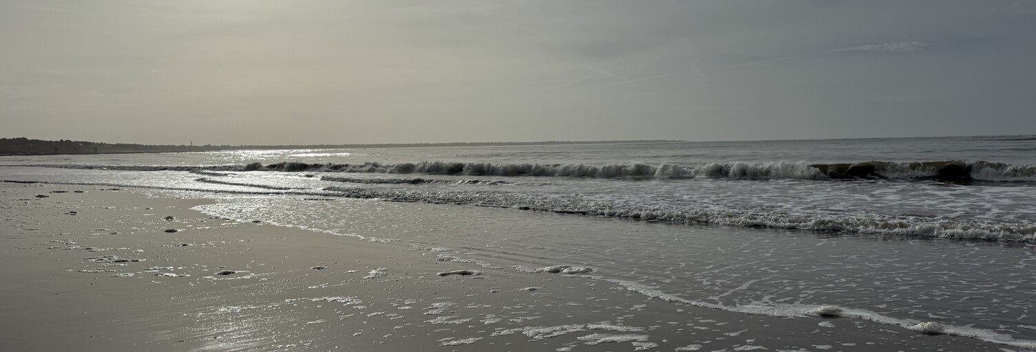 Appartement 3 Pièces 50 m² à vendre à Saint-Brevin-les-Pins (44250)