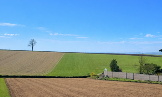 Terrain  1743 m² à vendre à Malavillers (54560)