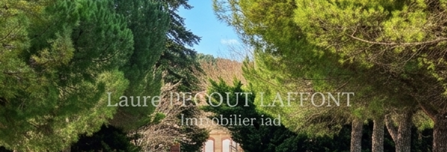 Maison 12 Pièces 525 m² à vendre à Lavaur (81500)