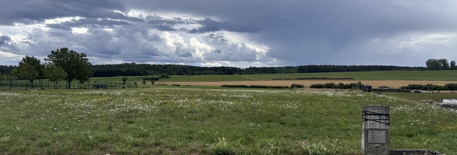 Terrain  1500 m² à vendre à Rehaincourt (88330)