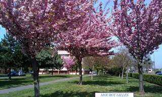 Appartement 5 Pièces 81 m² à vendre à Metz (57050)