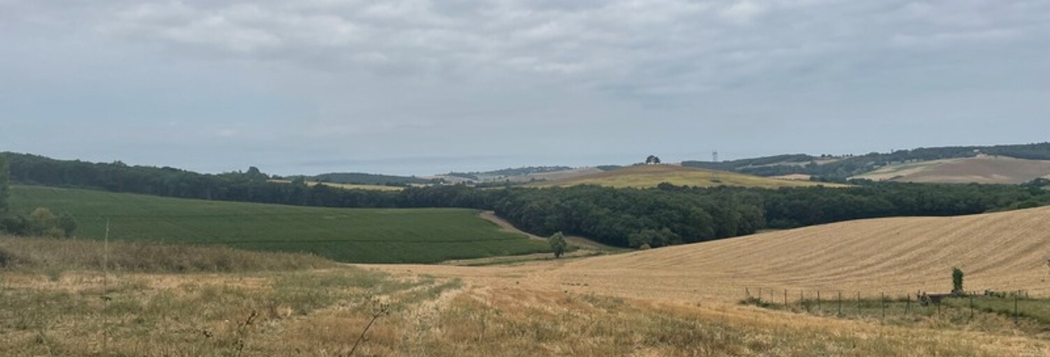 Terrain  2500 m² à vendre à Le Castéra (31530)