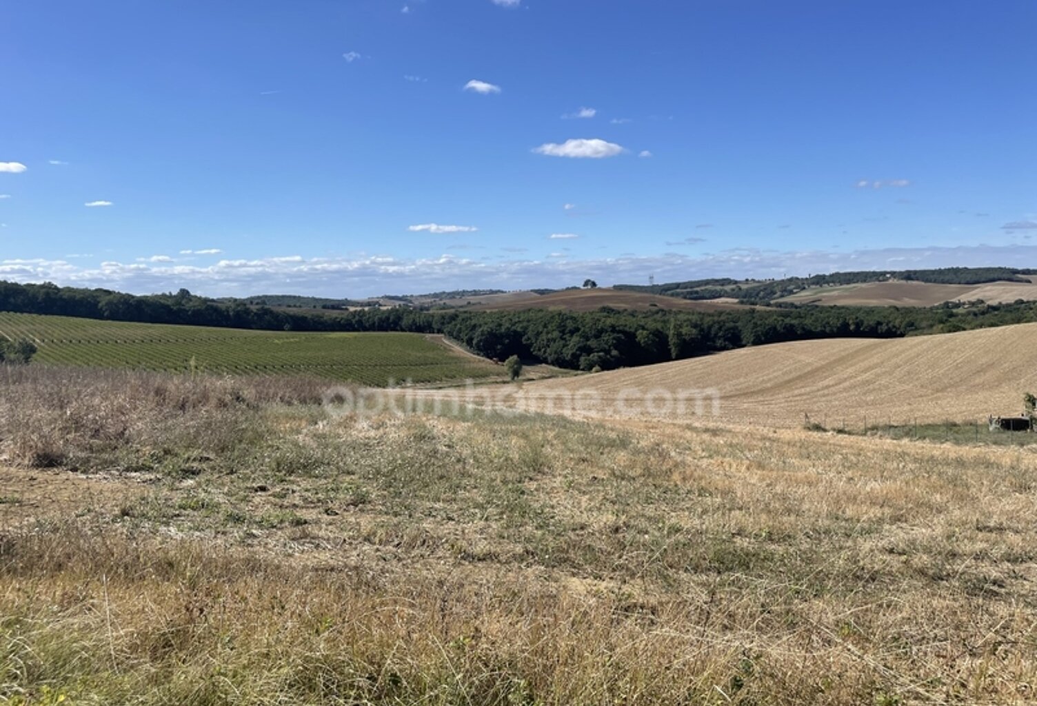 Terrain 2500 m² — photo 1