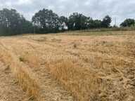 Terrain 2500 m² — photo 4