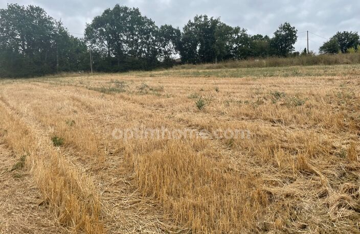 Terrain 2500 m² — photo 4