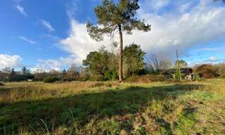 Terrain  7500 m² à vendre à Saint-Morillon (33650)