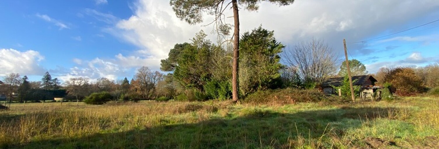 Terrain  7500 m² à vendre à Saint-Morillon (33650)