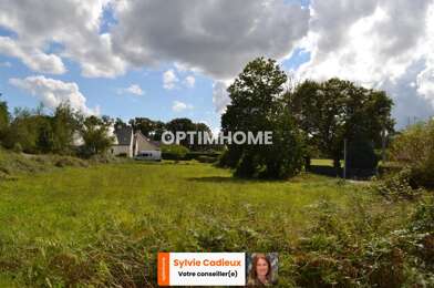 Terrain  61500 €