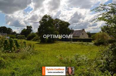 Terrain  45500 €