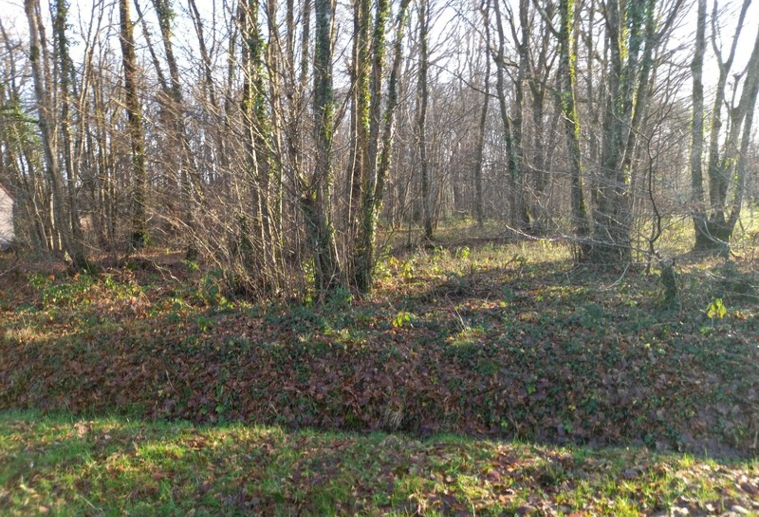 Terrain à vendre de 2 370,00 m² SAINT HILAIRE LES ANDRESIS (45) — photo 1