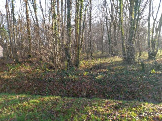 Terrain à vendre de 2 370,00 m² SAINT HILAIRE LES ANDRESIS (45) — photo du bien