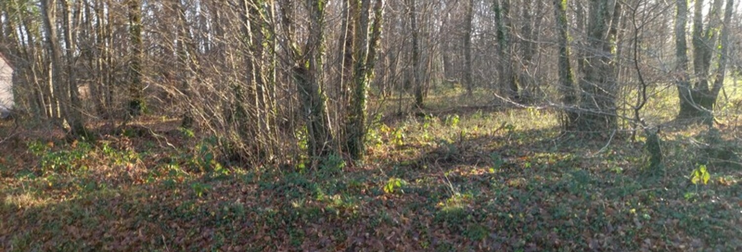 Terrain  2370 m² à vendre à Saint-Hilaire-les-Andrésis (45320)