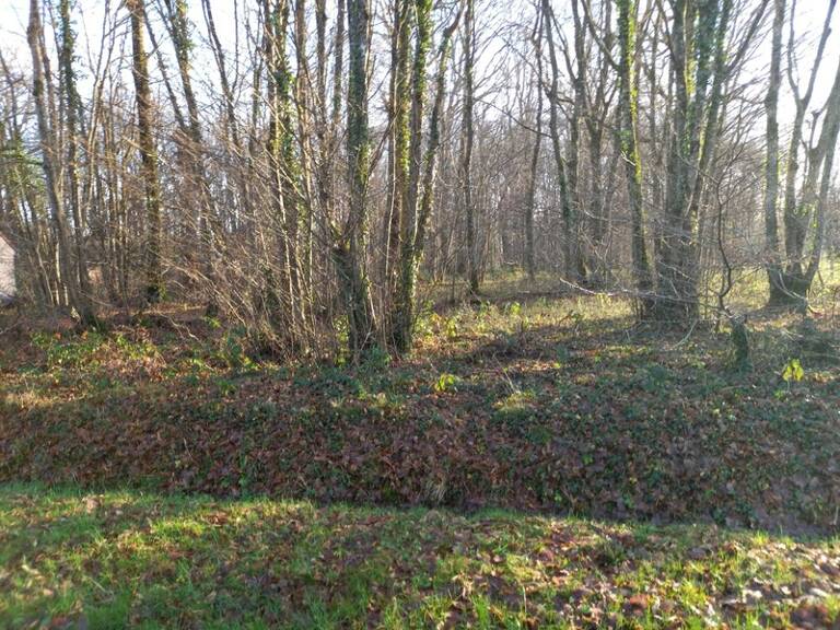 Terrain à vendre de 2 370,00 m² SAINT HILAIRE LES ANDRESIS (45) — photo 1