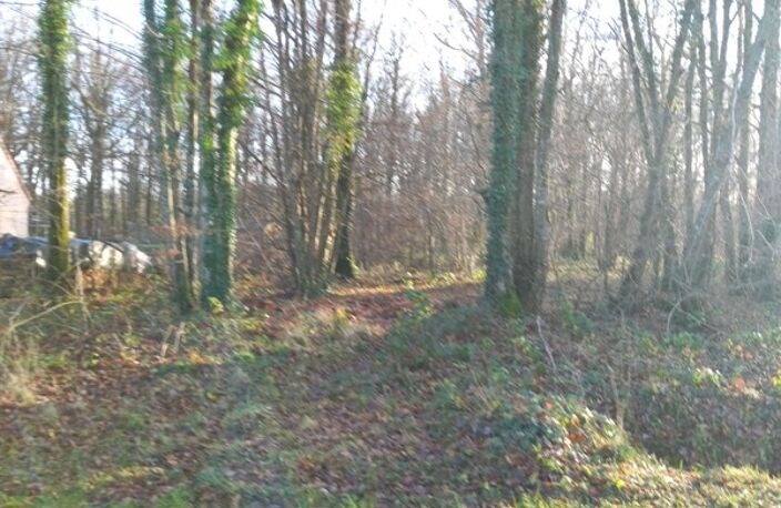 Terrain à vendre de 2 370,00 m² SAINT HILAIRE LES ANDRESIS (45) — photo 2