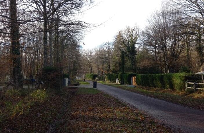 Terrain à vendre de 2 370,00 m² SAINT HILAIRE LES ANDRESIS (45) — photo 5