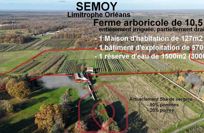 Semoy 10,5 Ha  570m2 de Bâtiment  une maison de 127m2  — photo 2