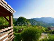 Dpt Corse (20), à vendre EVISA, propriété avec six chalets en bois, terrasse vue panoramique, piscine, parking — photo 4