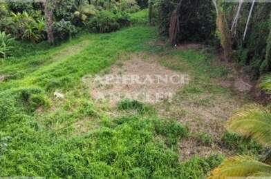 Terrain  250000 €