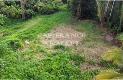 Dpt Martinique (972), à vendre LE LAMENTIN terrain de 2500 m² vue mer — photo du bien