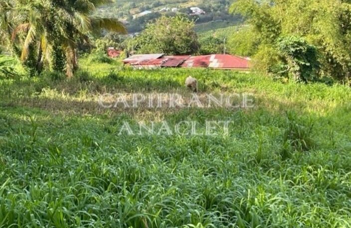 Dpt Martinique (972), à vendre LE LAMENTIN terrain de 2500 m² vue mer — photo 2