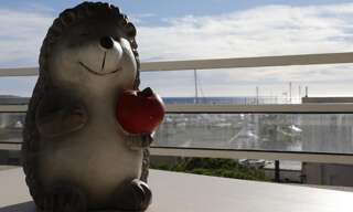 Appartement 2 Pièces 31 m² à louer à Vallauris (06220)