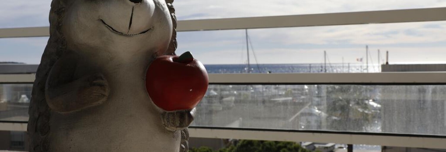 Appartement 2 Pièces 31 m² à louer à Vallauris (06220)