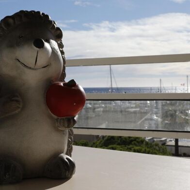 Appartement 2 pièces 950 €