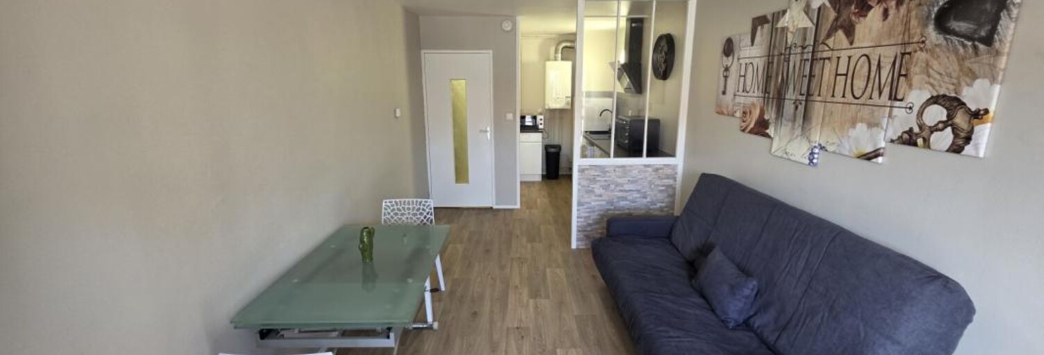 Appartement 1 Pièce 31 m² à louer à Nancy (54000)