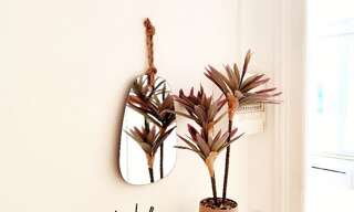 Appartement 2 Pièces 32 m² à louer à Reims (51100)