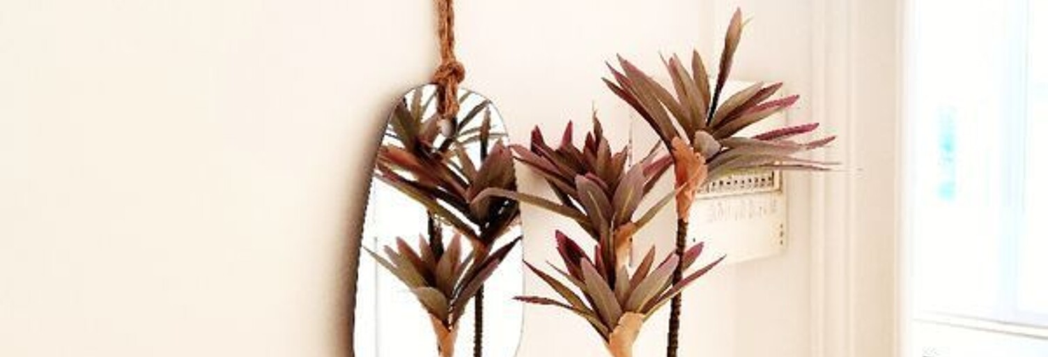 Appartement 2 Pièces 32 m² à louer à Reims (51100)