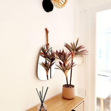 Appartement 2 pièces 650 €