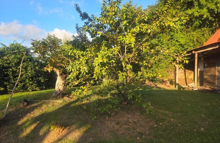 Terrain À Vendre — photo 2