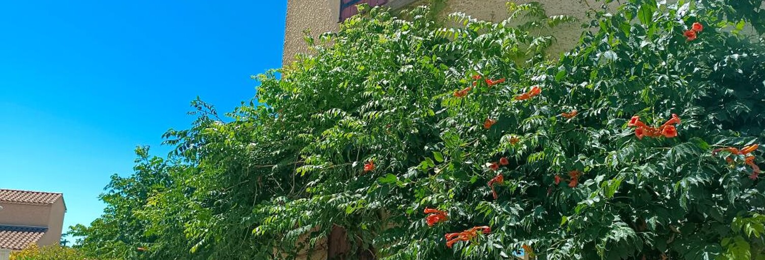 Maison 8 Pièces 287 m² à vendre à Bezouce (30320)