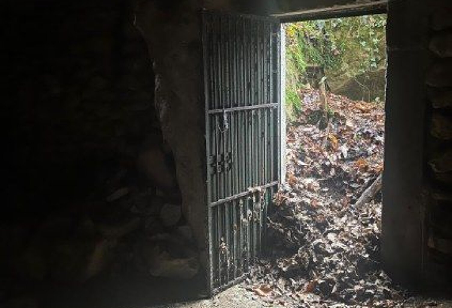 A vendre : Caves troglodytes et parcelle de bois — photo 1