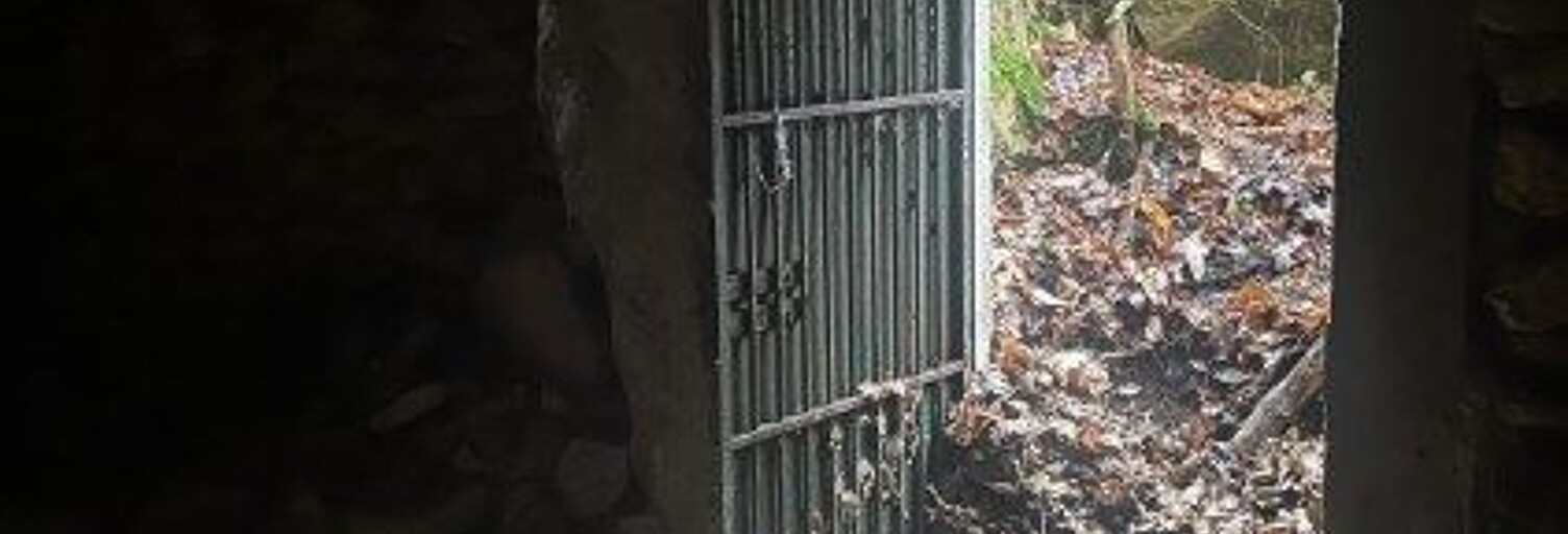 Maison  4545 m² à vendre à Panzoult (37220)