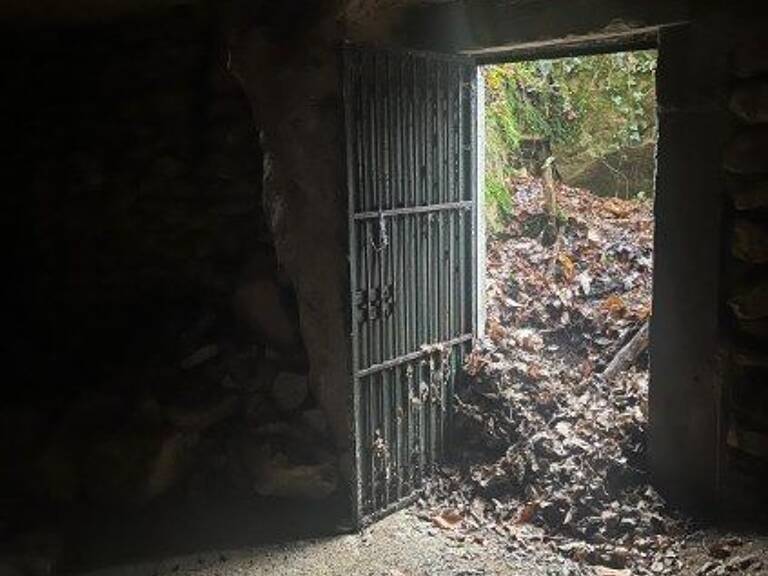 A vendre : Caves troglodytes et parcelle de bois — photo 1