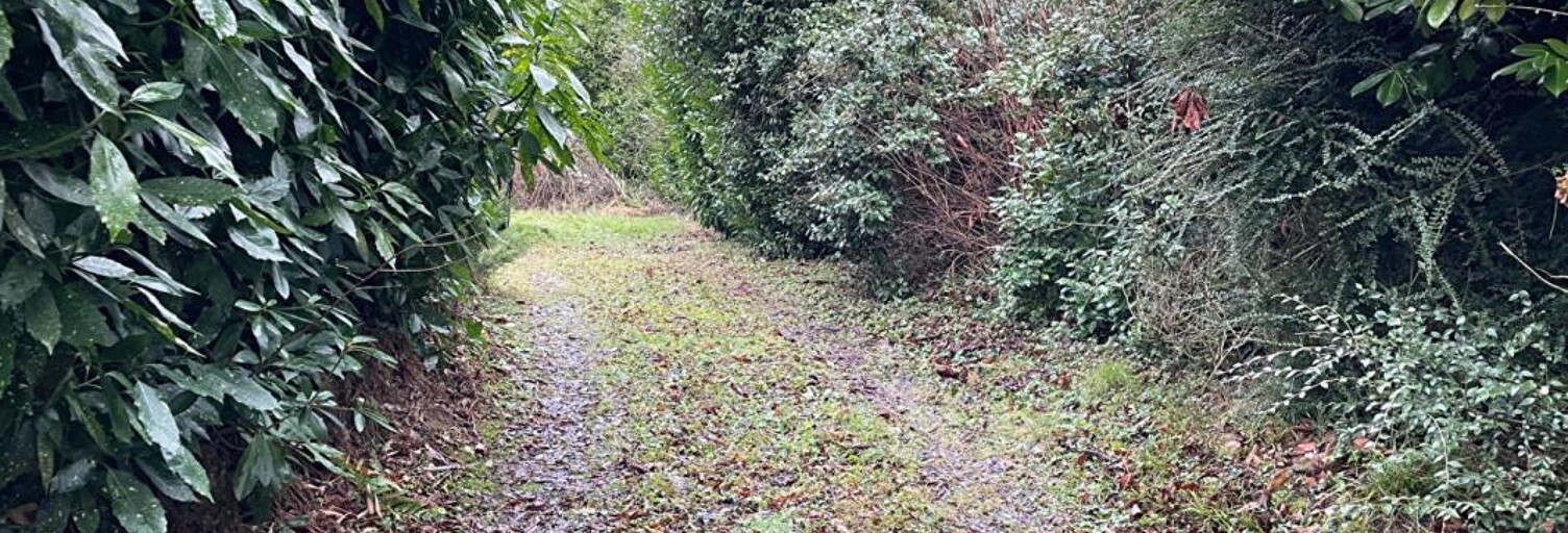 Terrain  1406 m² à vendre à Villiers-Saint-Denis (02310)