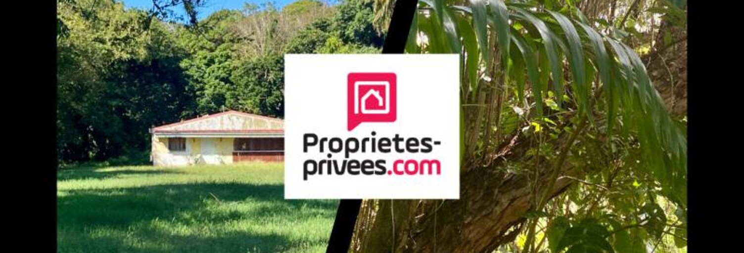 Terrain  10000 m² à vendre à Pointe-Noire (97116)