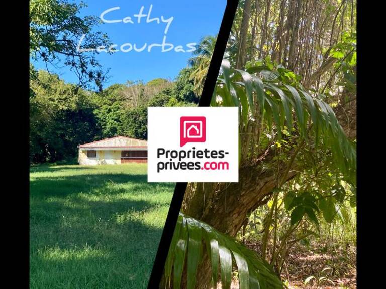 Terrain viabilisé 10000 m2 constructible accès littoral- Pointe Noire -Guadeloupe — photo 1