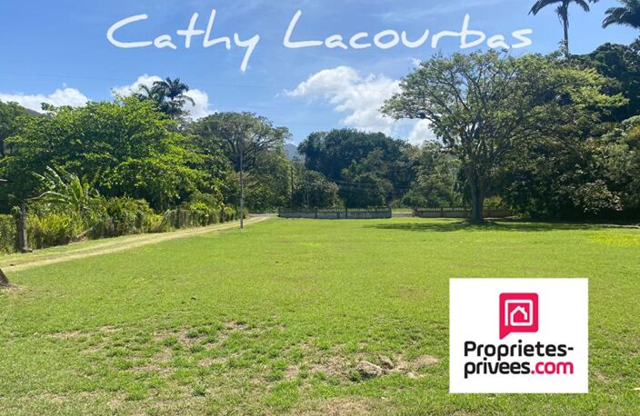 Terrain viabilisé 10000 m2 constructible accès littoral- Pointe Noire -Guadeloupe — photo 2