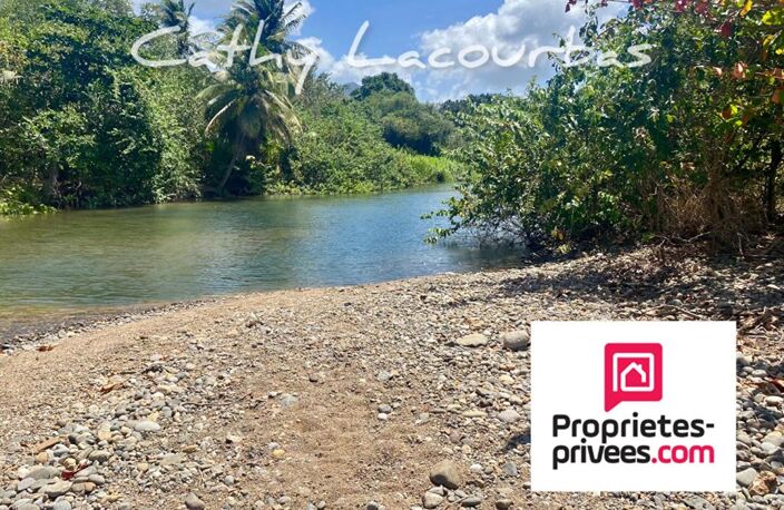 Terrain viabilisé 10000 m2 constructible accès littoral- Pointe Noire -Guadeloupe — photo 3