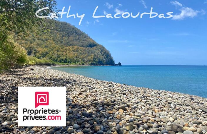 Terrain viabilisé 10000 m2 constructible accès littoral- Pointe Noire -Guadeloupe — photo 4