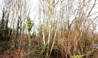 Maison  4273 m² à vendre à Belluire (17800)