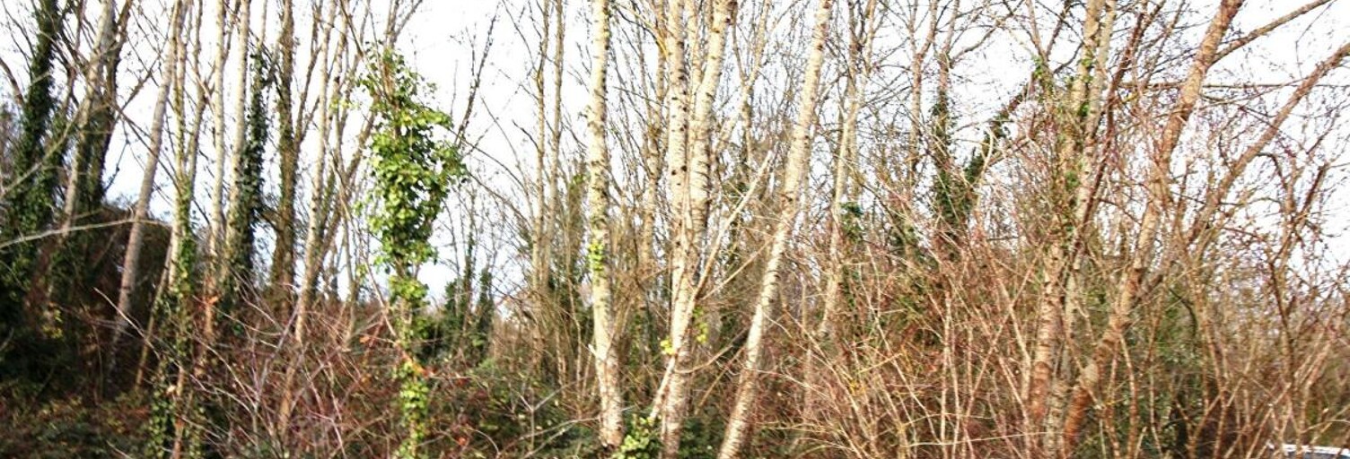 Maison  4273 m² à vendre à Belluire (17800)