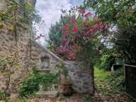 Maison F6 — photo 2