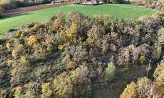 Terrain  13065 m² à vendre à Le Vigan-en-Quercy (46300)