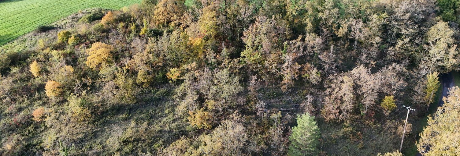 Terrain  13065 m² à vendre à Le Vigan-en-Quercy (46300)