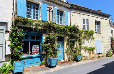 SAUMUR/CHINON — photo du bien