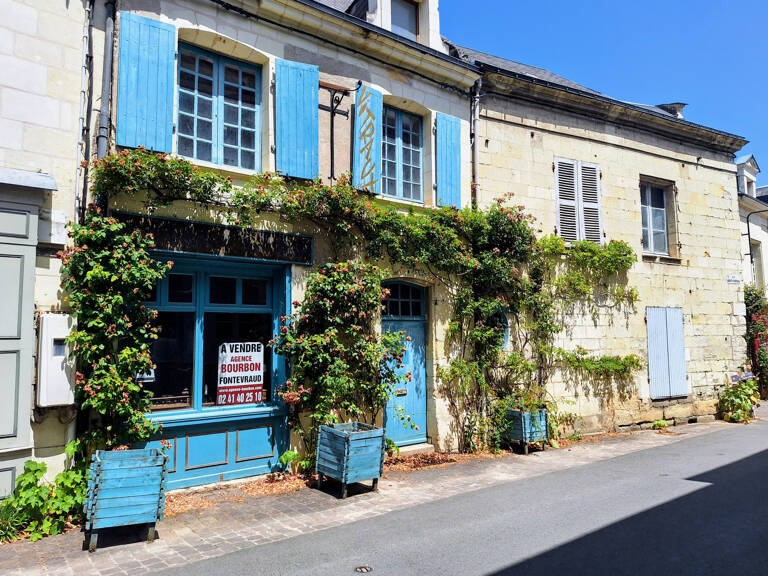 SAUMUR/CHINON — photo 1