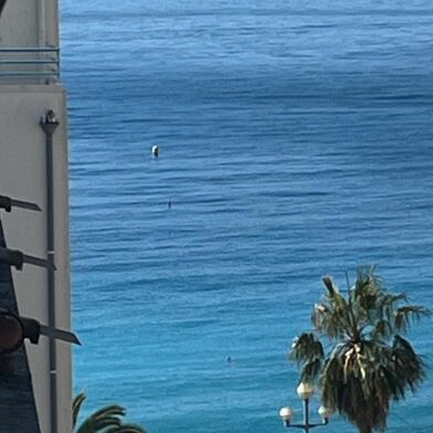 Appartement 2 pièces 395000 €